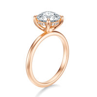 THE GRACE Round Hidden Halo Ring