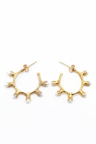 THE COWRIE Stud Earrings II