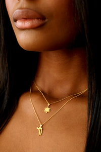 THE STAR of David Necklace I