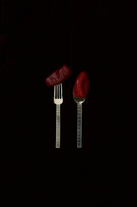THE ADINKRA 2-Piece Silverware Set