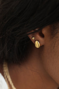 THE COWRIE Stud Earrings II