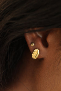 THE COWRIE Stud Earrings II